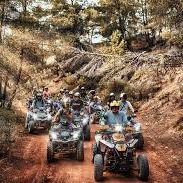 A group of people riding quad bikes on a dusty forest trail.
