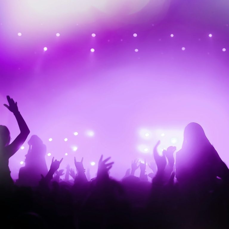 Silhouettes of a crowd at a vibrant concert, with purple stage lights illuminating the scene.